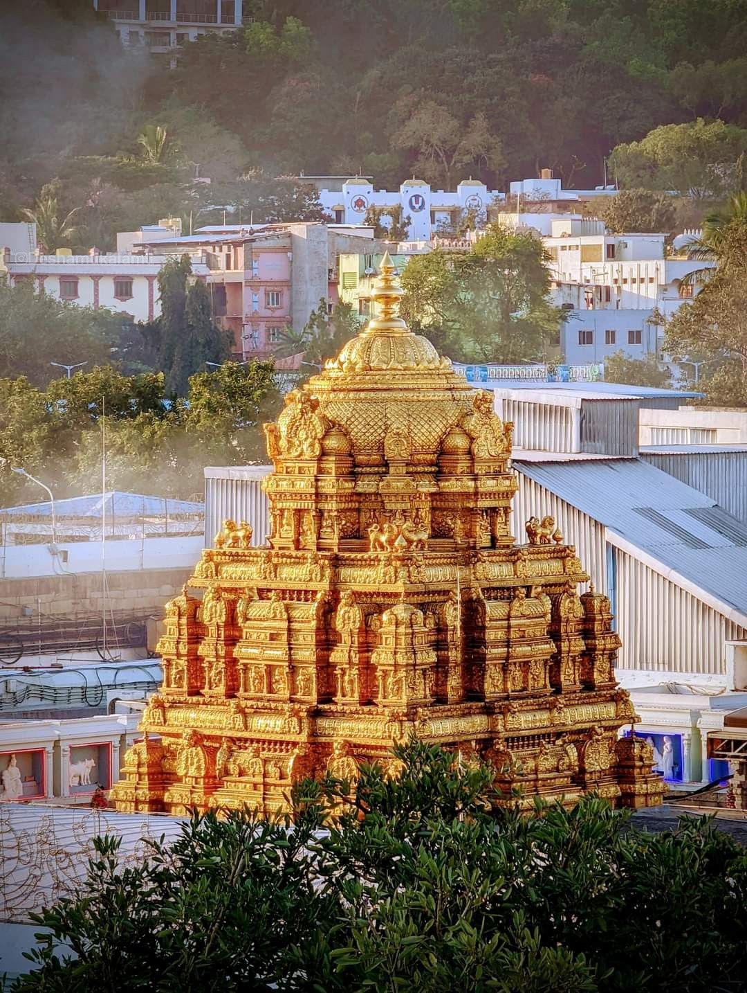 తిరుమల మీద శివజ్యోతి కామెంట్స్… ఇప్పుడు ఆమె జీవితాన్నే మార్చేసిందా?