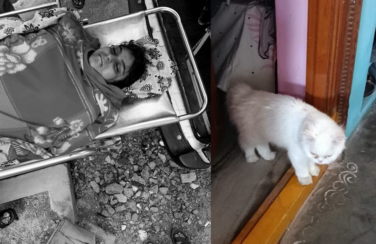 హైదరాబాద్ లో విషాదం – పెంపుడు పిల్లి మరణం తట్టుకోలేక విద్యార్థిని ఆత్మహత్య