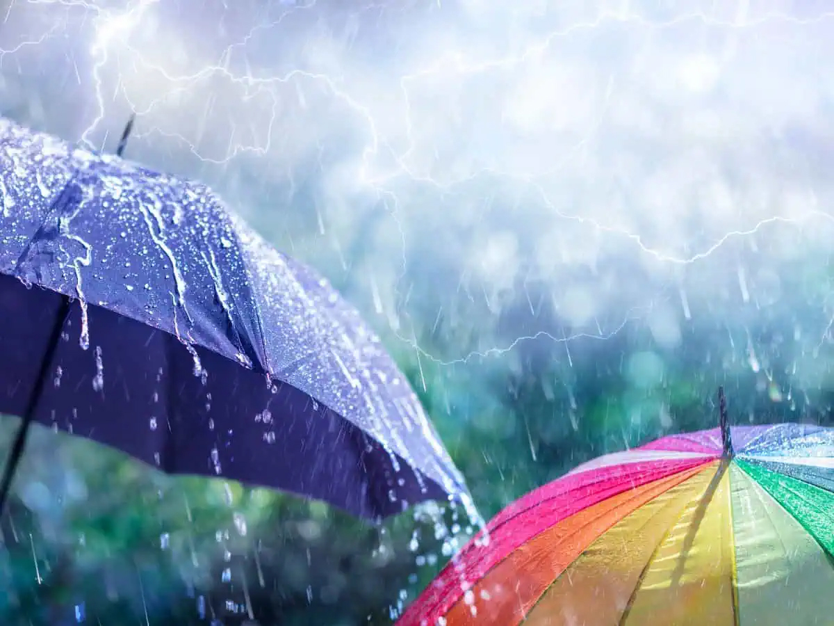 తెలంగాణలో భారీ వర్షాలు – రేయిన్ అలర్ట్, పంటలకు భారీ నష్టం